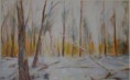 /album/galerie-de-photos-arbres/foret-en-neige-jpg1/
